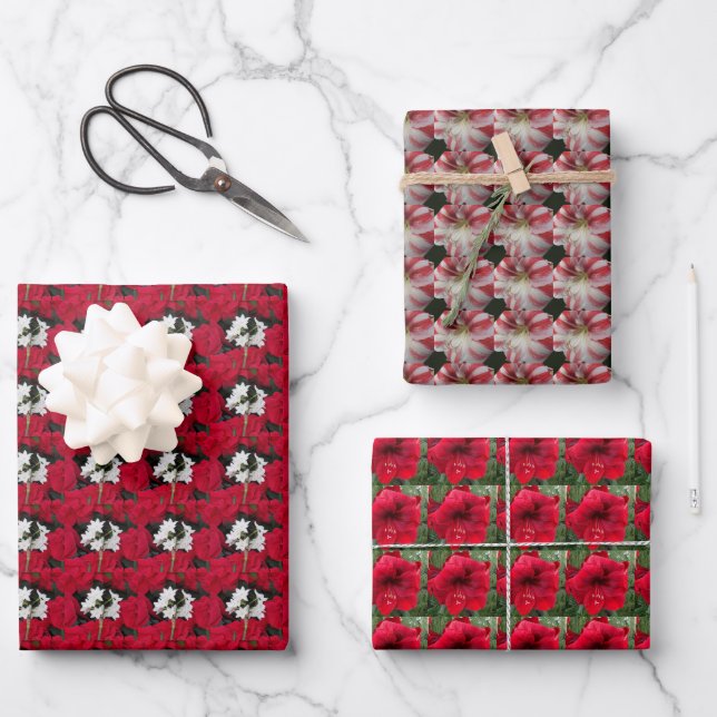 Holiday Paperwhites und Amaryllis Blumenmuster Geschenkpapier Set (Vorderseite)