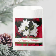 Holiday Paperwhites und Red Poinsettias
