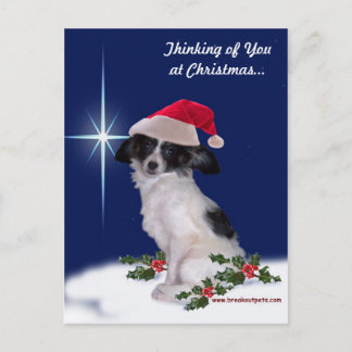 Holiday Papillon Postcard Feiertagspostkarte