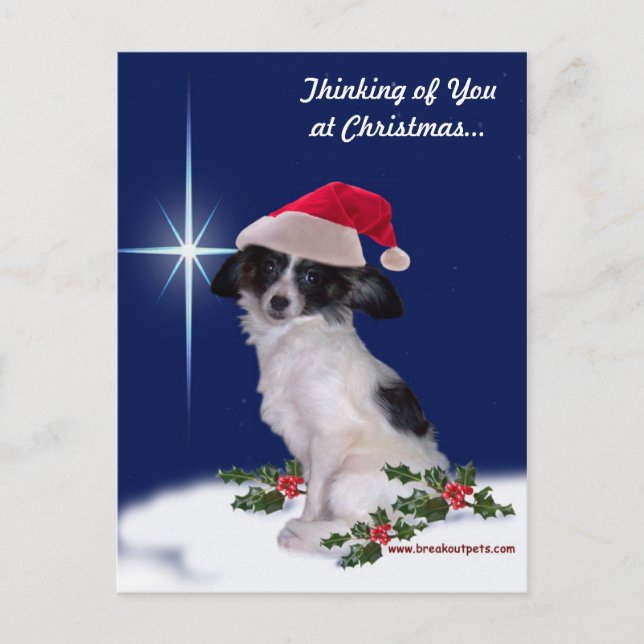 Holiday Papillon Postcard Feiertagspostkarte (Vorderseite)