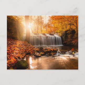 Holiday Postcard Feiertagspostkarte