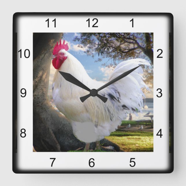 Holiday Rooster Quadratische Wanduhr (Vorderseite)