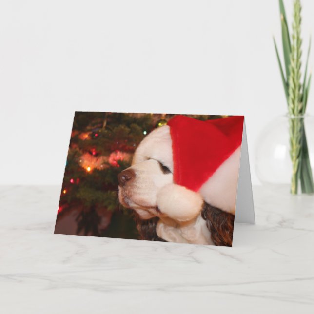 Holiday Wites Feiertagskarte (Vorderseite)