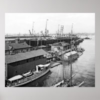 Holland America Line