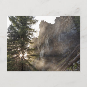 Holland Falls Lolo National Forest, Montana Postkarte