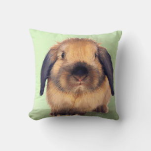 Holland Lop Kissen