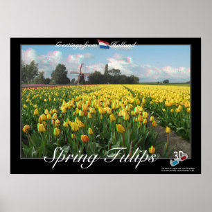 Holland Spring Tulips Landscape 3D Anaglyph Poster