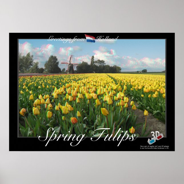 Holland Spring Tulips Landscape 3D Anaglyph Poster (Vorne)