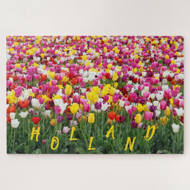 HOLLAND-TULPEN (Horizontal)