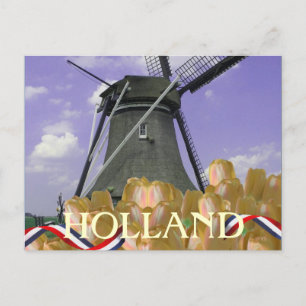 Holland Windmill Orange Tulips Postcard Postkarte