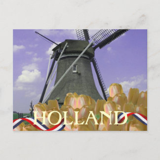 Holland Windmill Orange Tulips Postcard Postkarte
