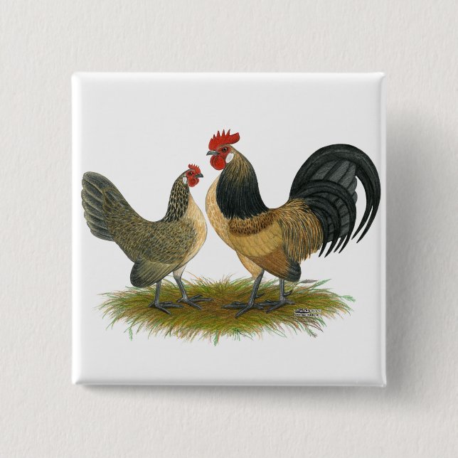Holländischer Bantam: Blue Quail Button (Vorderseite)