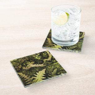 Holländischer Jugendfrosch in Tree Glasuntersetzer