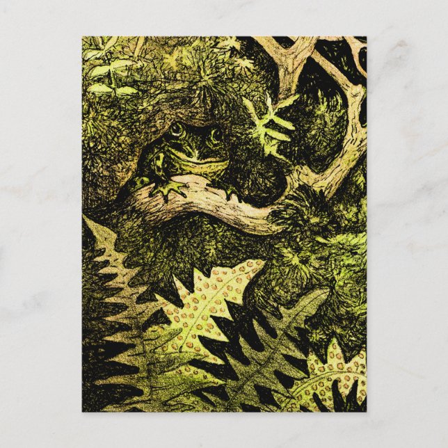 Holländischer Jugendfrosch in Tree Postkarte (Vorderseite)