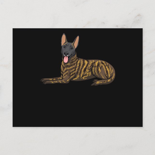 Hollandse Herdershond Dutch Shepherd Dog Postkarte (Vorderseite)