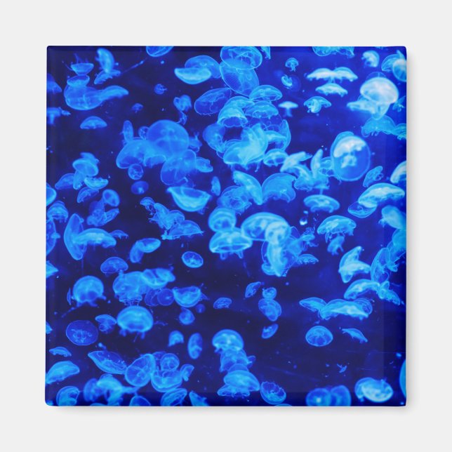 Höllenschaum Magnet (Vorne)