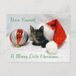 Holleys Weihnachtspostkarte - Katze / Kitten Feiertagspostkarte