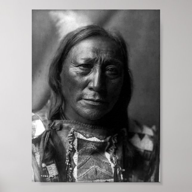 Hollow Horn Bär Poster (Vorne)