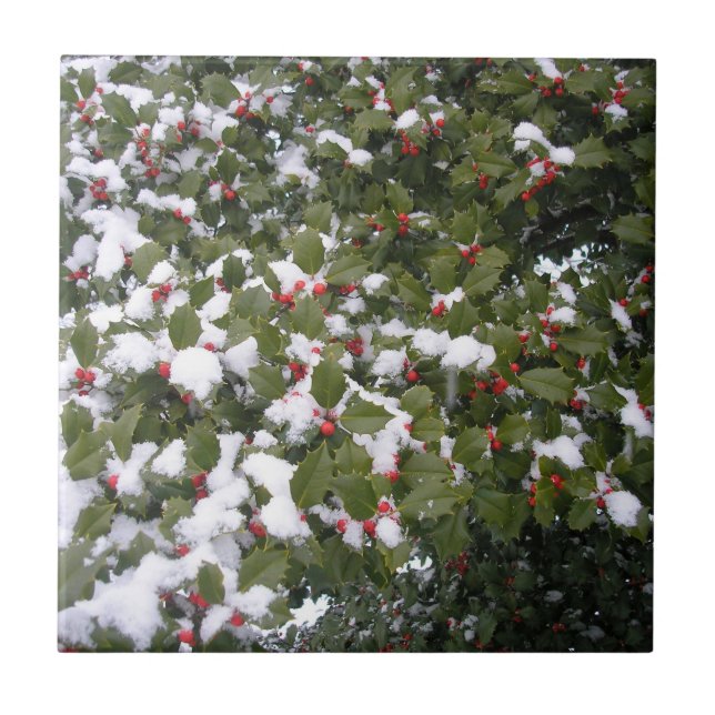 Holly and Snow Fliese (Vorderseite)