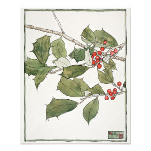 Holly-Aquarellmalerei, Hannah Borger Overbeck Fotodruck
