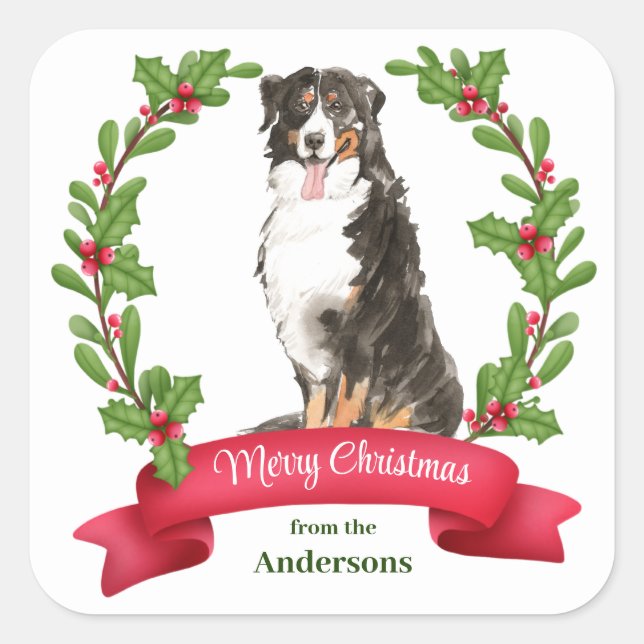 Holly Banner Bernese Mountain Dog Christmas Square Quadratischer Aufkleber (Vorderseite)
