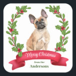 Holly Banner French Bulldog Christmas Quadratischer Aufkleber<br><div class="desc">Auf diesen Holiday Korrespondenzaufklebern ist ein Aquarellporträt eines französischen Bulldog von einem roten Beerenholzkranz umgeben. Am unteren Rand ist ein rotes Banner mit Ihrem individuellen Weihnachtsgrüßen,  und Ihre Unterschrift ist grün darunter.</div>