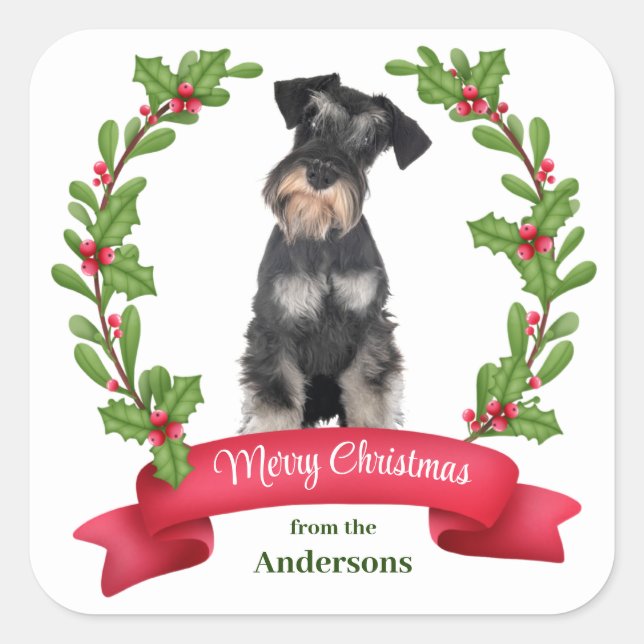 Holly Banner Miniature Schnauzer Dog Weihnachten Quadratischer Aufkleber (Vorderseite)