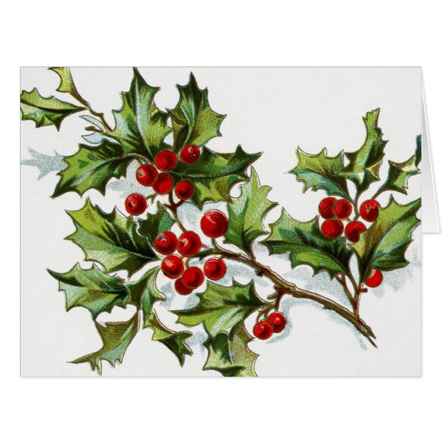Holly Berries 002 (Devant horizontal)