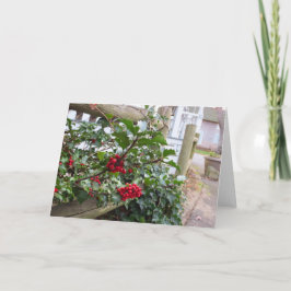 Holly Berries and Fence - Martha's Vineyard Karte