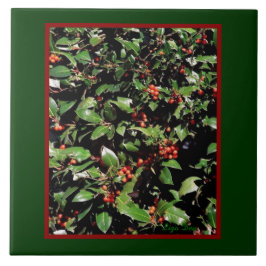 'Holly & Berries' Trivet/Tile Fliese