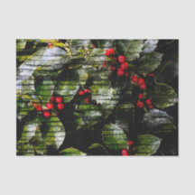 Holly Berry Vertical Tissue Paper