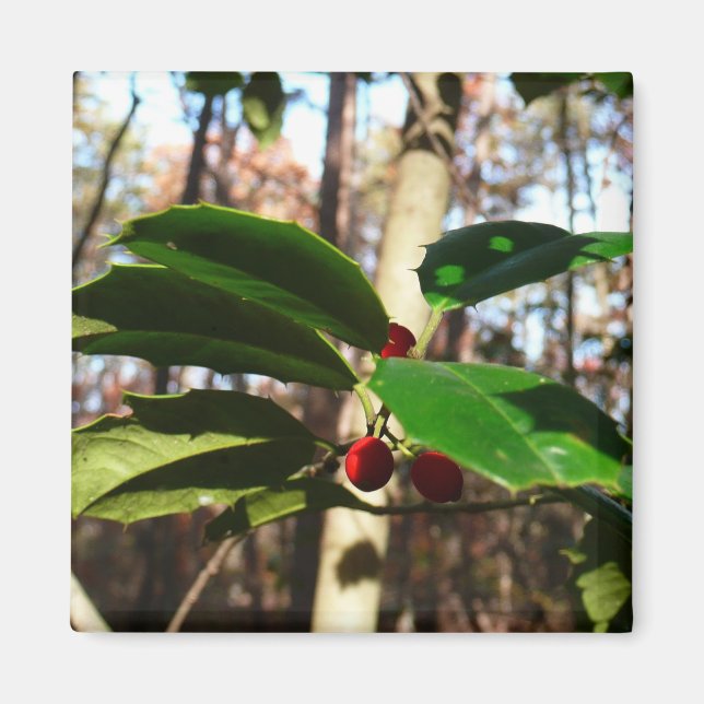 Holly Blätter I Holiday Botanical Magnet (Vorne)