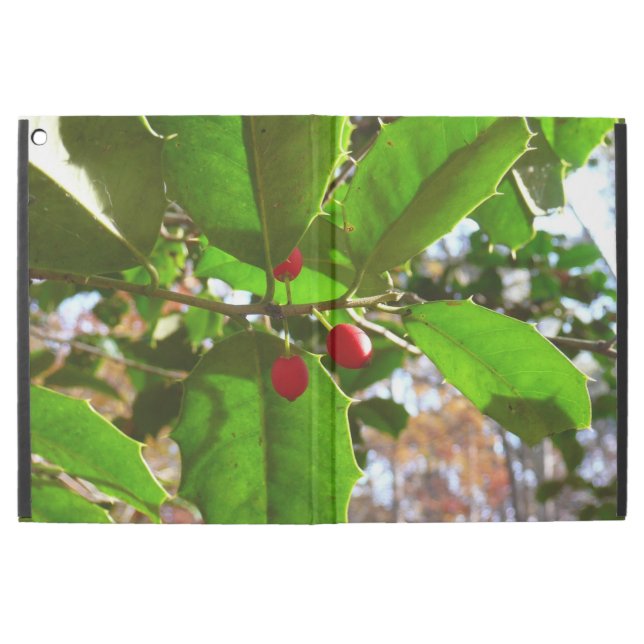 Holly Blätter II Holiday Nature Botanical (Vorderseite)