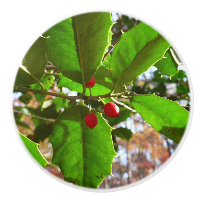 Holly Blätter II Holiday Nature Botanical Keramikknauf (Vorderseite)