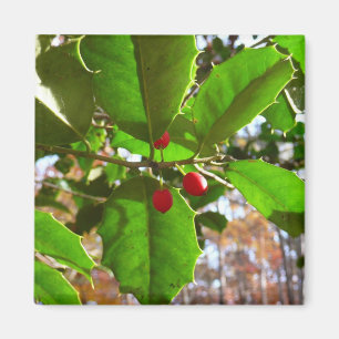 Holly Blätter II Holiday Nature Botanical Magnet
