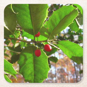 Holly Blätter II Holiday Nature Botanical Rechteckiger Pappuntersetzer
