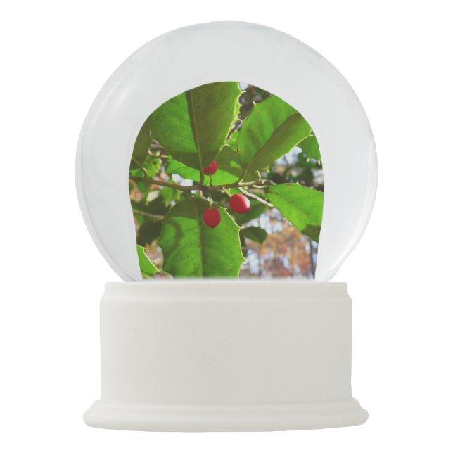 Holly Blätter II Holiday Nature Botanical Schneekugel (Vorderseite)