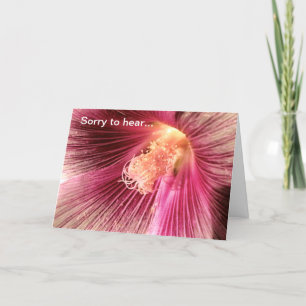 Holly-Hock-Blume in Pink Karte