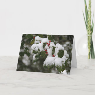 Holly in Fresh Snow, Blank Card, Verwenden für Not Feiertagskarte