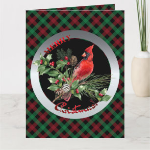Holly Jolly Kardinal Grüße von Weihnachten Karte