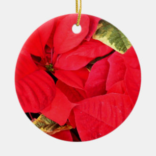 Holly Point Poinsettias Holiday Floral Keramikornament