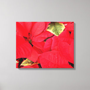 Holly Point Poinsettias Holiday Floral Leinwanddruck