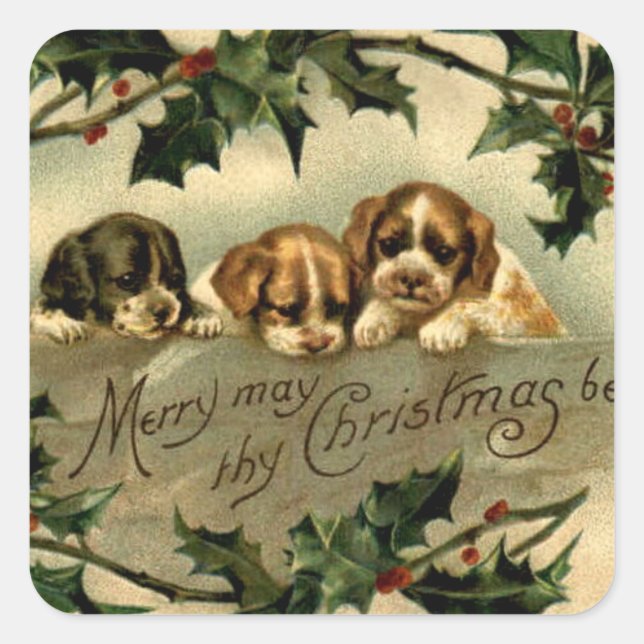 Holly Puppies Weihnachtsgrüße Quadratischer Aufkleber (Vorderseite)