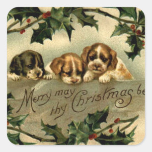 Holly Puppies Weihnachtsgrüße Quadratischer Aufkleber