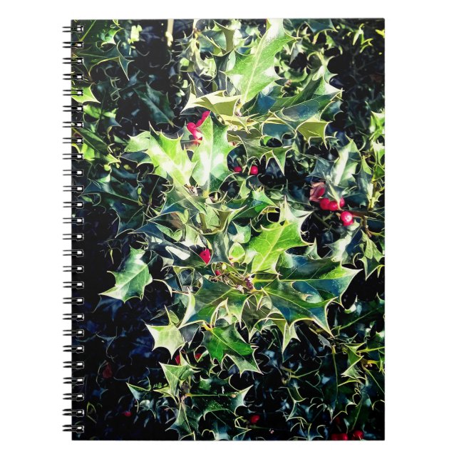 Holly, rote Beeren Notizblock (Vorderseite)