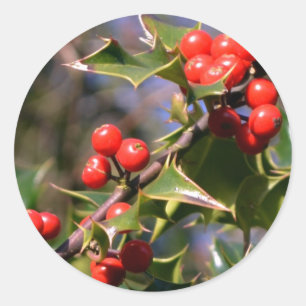 Holly Stickers