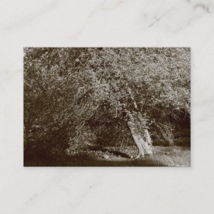 Holly Tree - Sepia Visitenkarte