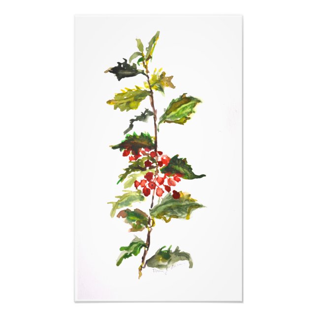 Holly Watercolor-Malerei Fotodruck (Vorne)
