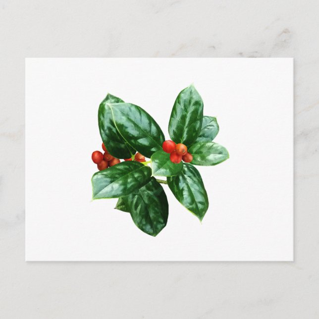 Holly with Berries Postkarte (Vorderseite)