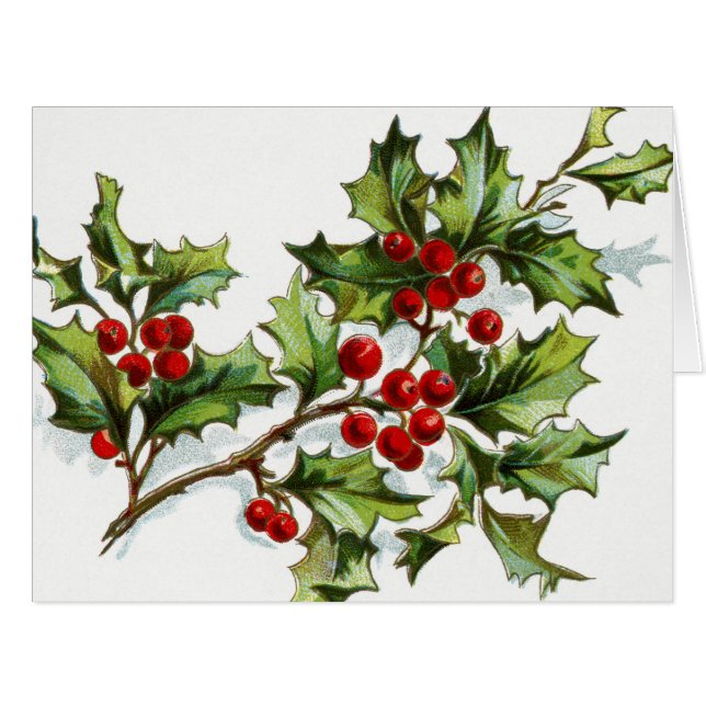 HollyBerries20150801 (Vorderseite (Horizontal))